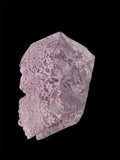 Petalito Lilac